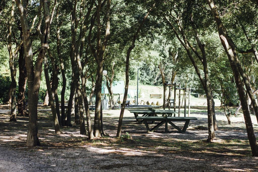 Hotel Camping Le Bois Fleuri Argelès-sur-Mer Exterior foto